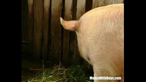 Brunette Lady Farmer Hairy Pussy Barn Fucked Saját klipek megjelenítése