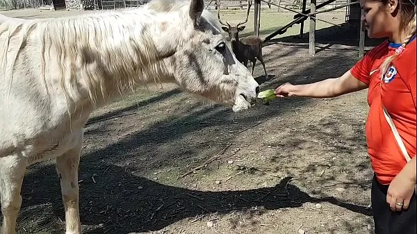 馬の手足の大きさを見て、私はすべて濡れました!!!彼氏がそうだったらいいのに!!!パティバット、エルトロデオロ私のクリップを表示